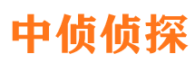 永宁市侦探公司